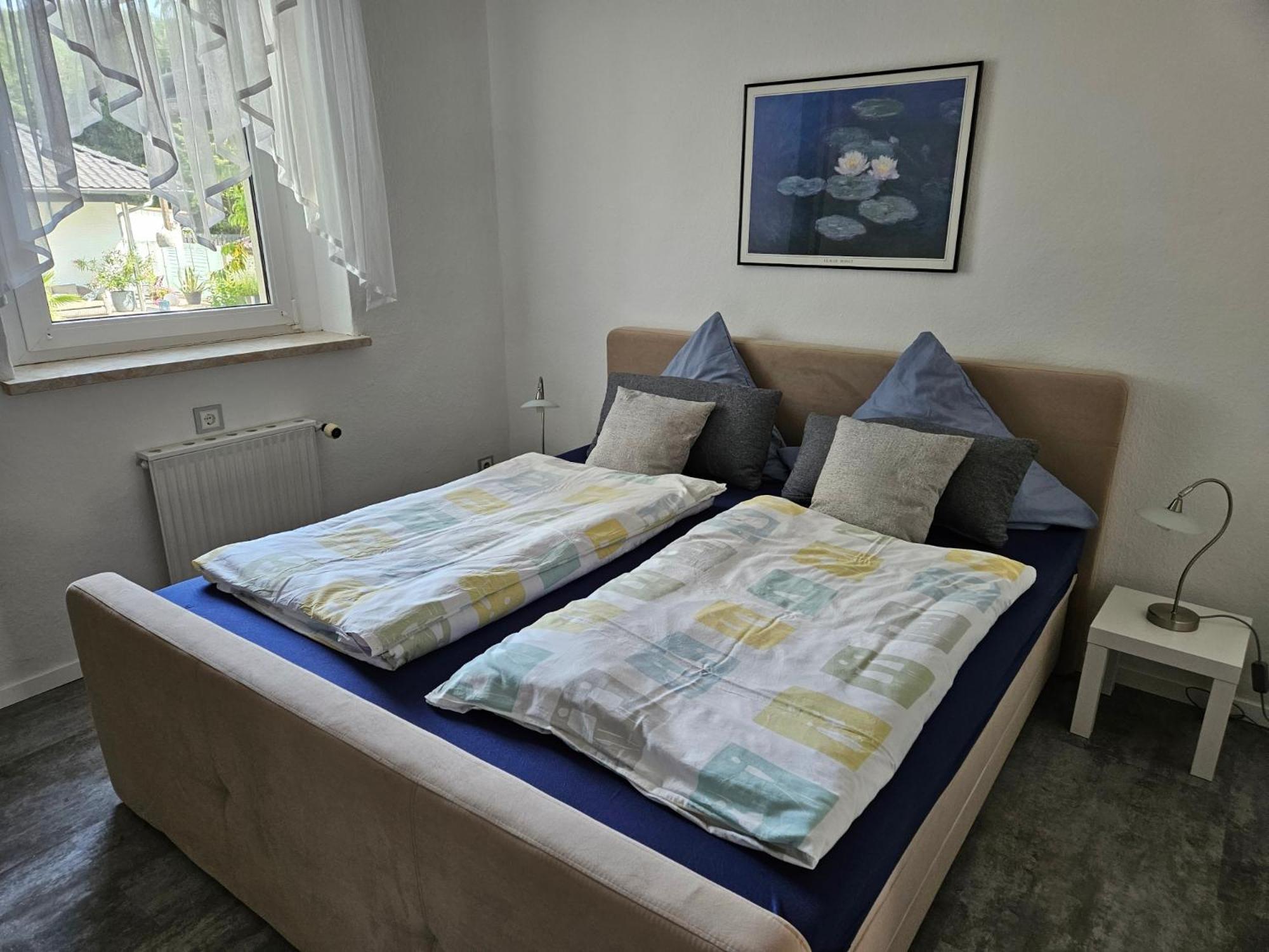 Apartments Am Saalebogen Mit Gartenterrasse, Grillkamin, Freie Parkplaetze Рудольштадт Экстерьер фото