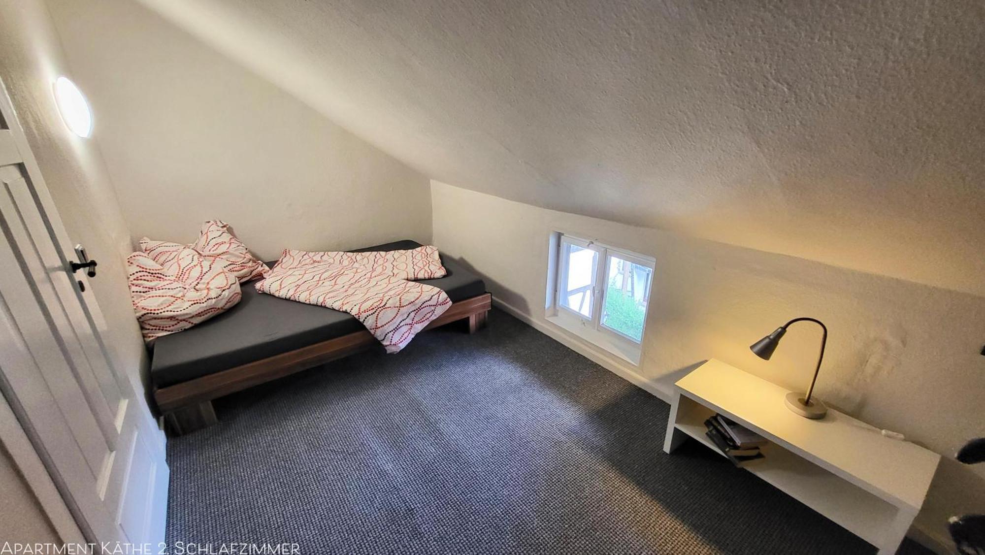 Apartments Am Saalebogen Mit Gartenterrasse, Grillkamin, Freie Parkplaetze Рудольштадт Экстерьер фото